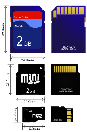 An image showcasing three types of SD card (standard, mini, and micro)