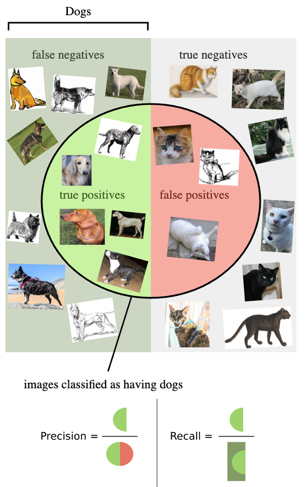 An example for a classifier of Cats and Dogs. Source: Wikipedia