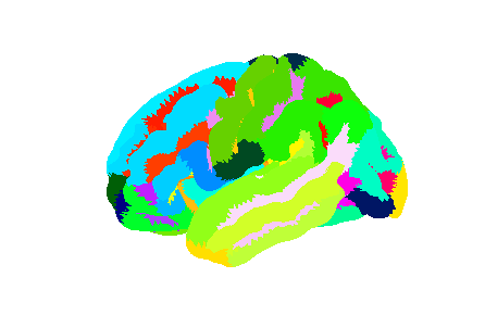 Left hemisphere of the Destrieux surface atlas