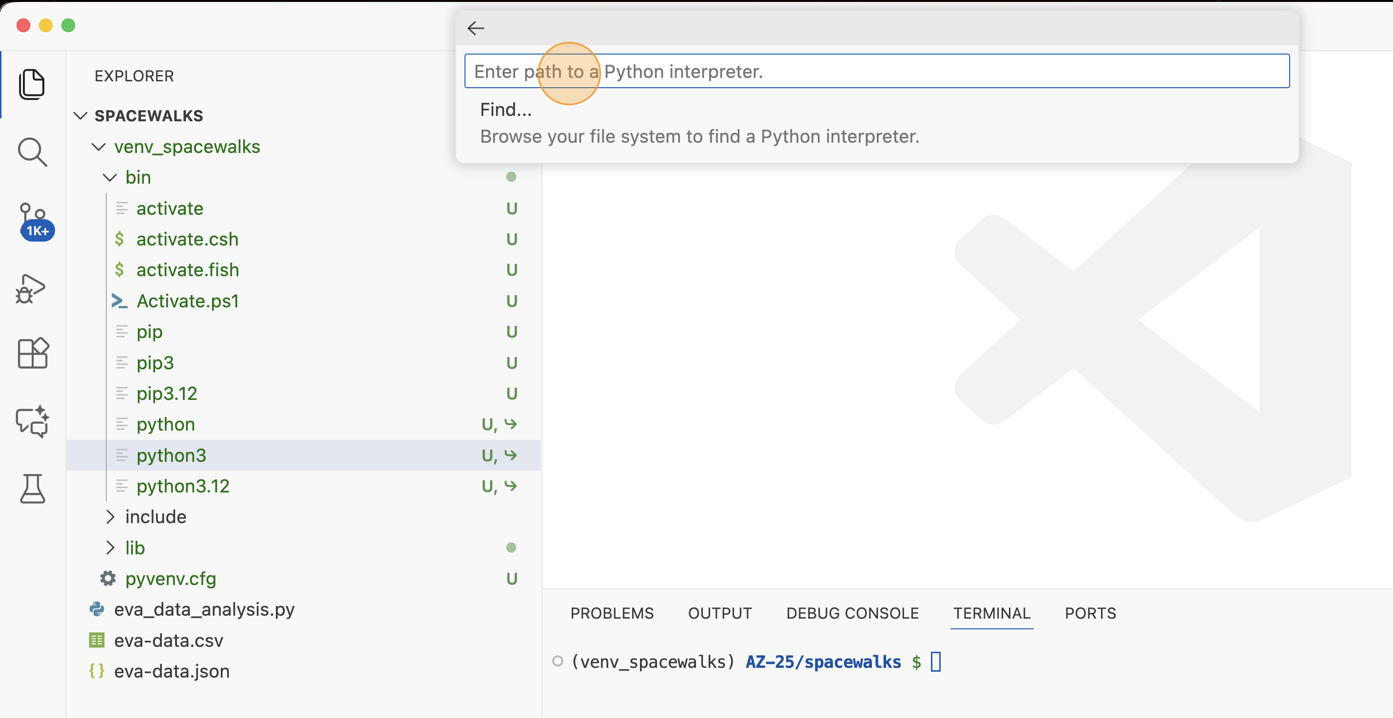 Set interpreter path in VS Code