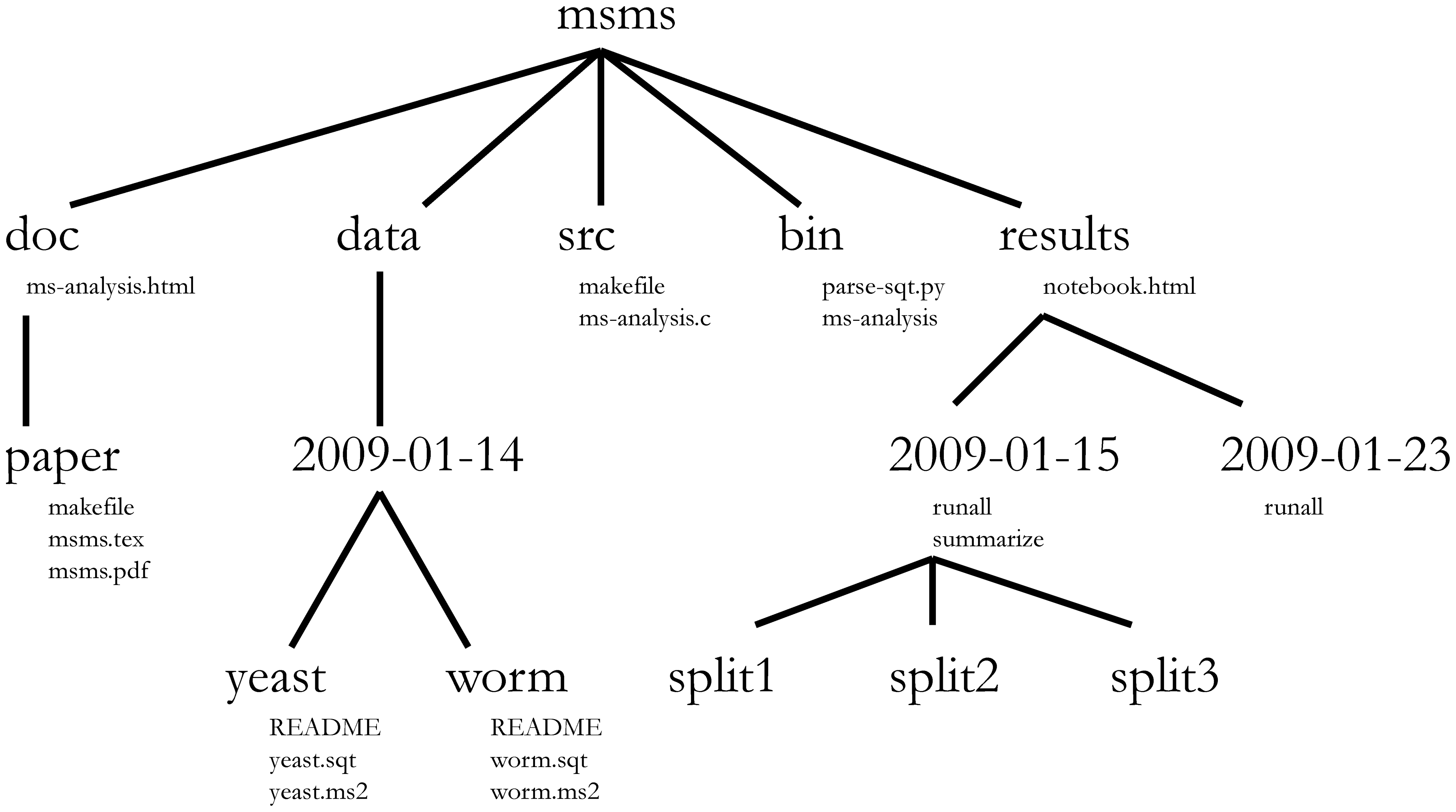 Directory structure for a sample bioinformatics project.