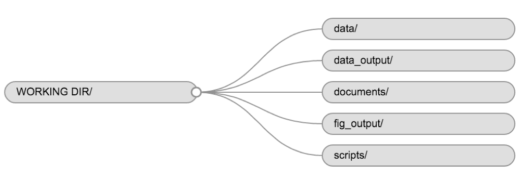 Example of a working directory structure.