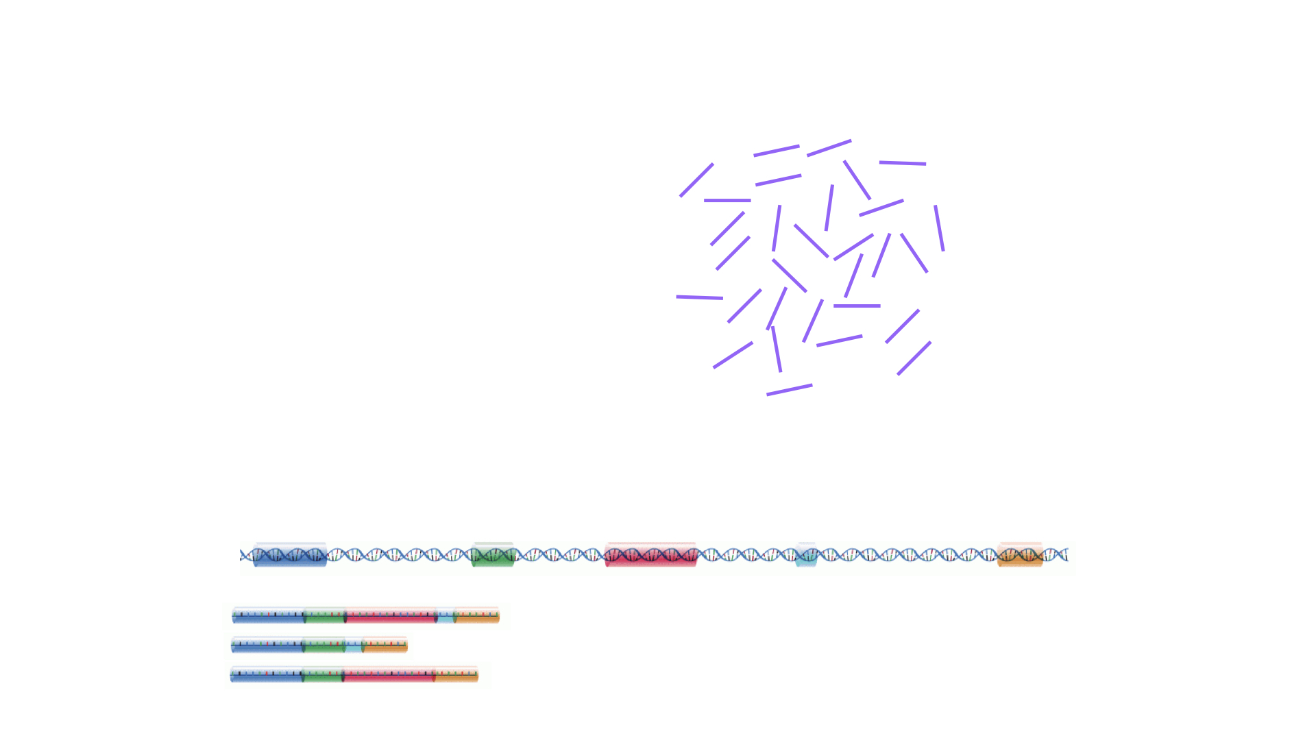 Illustration of a set of reads generated by a sequencer, and genomic and transcriptomic reference sequences