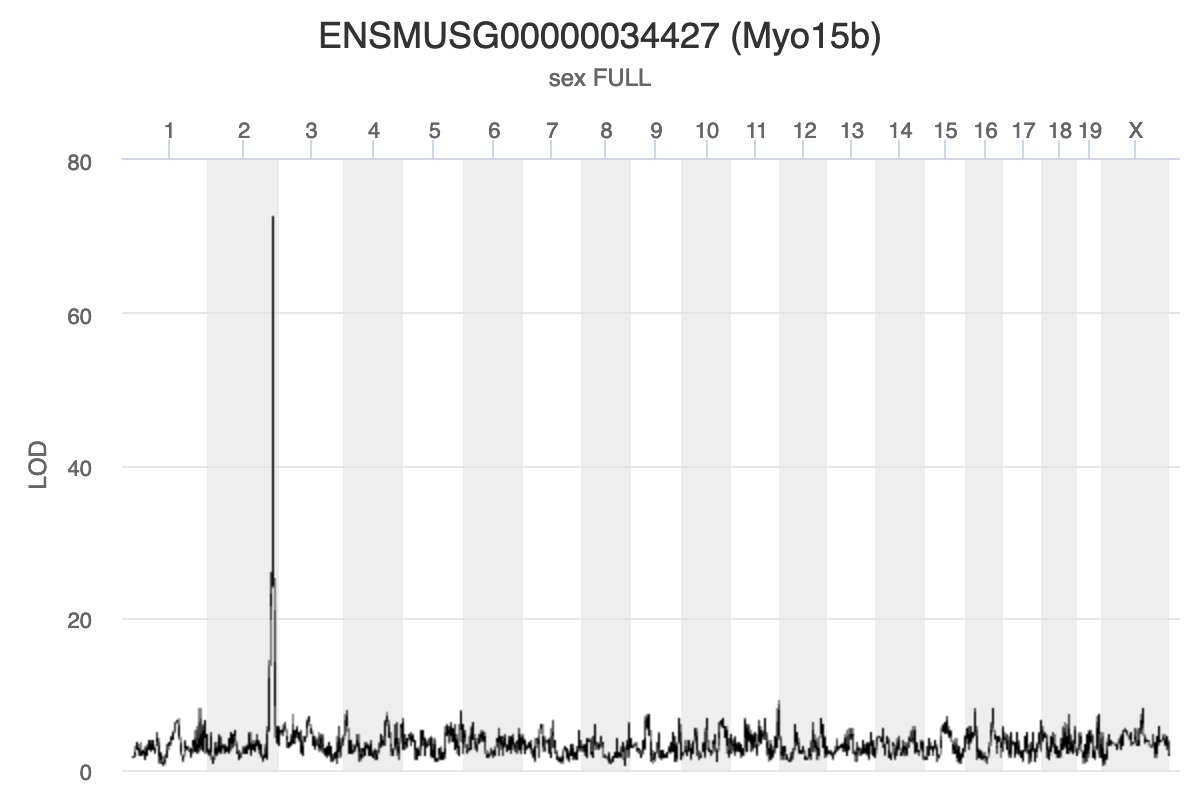 Myo15b QTL plot