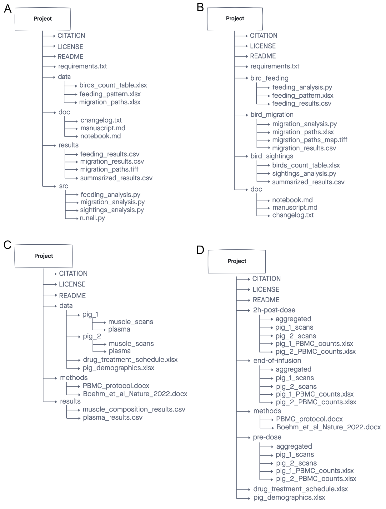 file-organisation-strategies