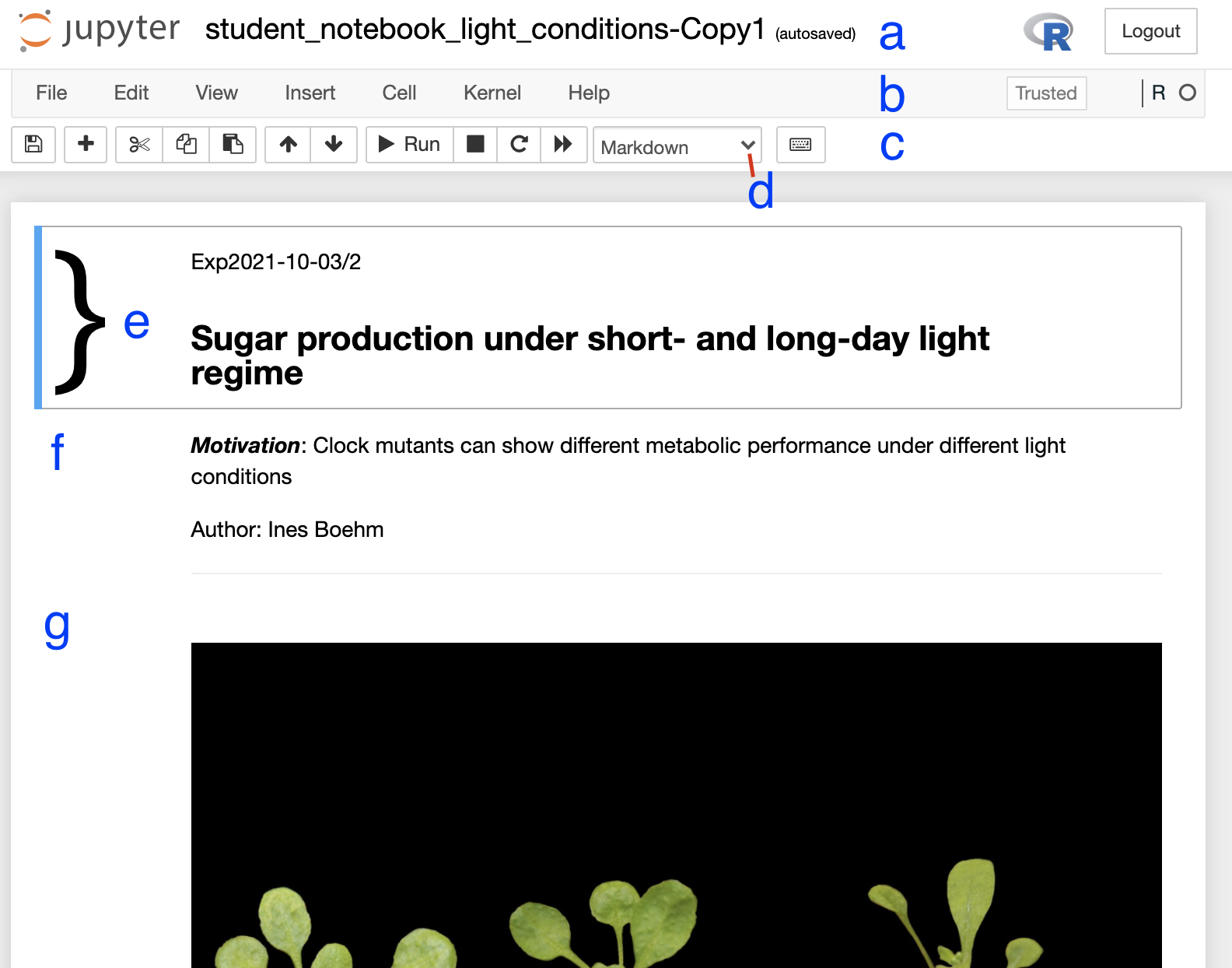 Figure 2. Anatomy of a Jupyter notebook: (a) depicts the name of the notebook, (b, c) are toolbars, (c) contains the most commonly used tools, (d) shows of what type - Markdown, Code etc… - the currently selected cell is, and (e-g) are examples of cells, where (e) shows the currently selected cell.