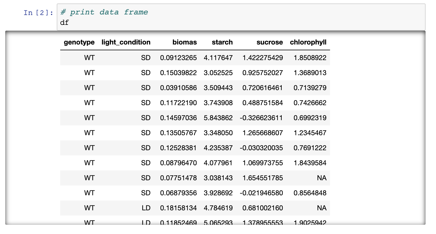 Figure 3. Rendering of data frame