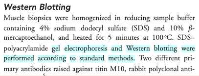 screenshot of excerpt of the paper stating that standard methods were used without any further detail