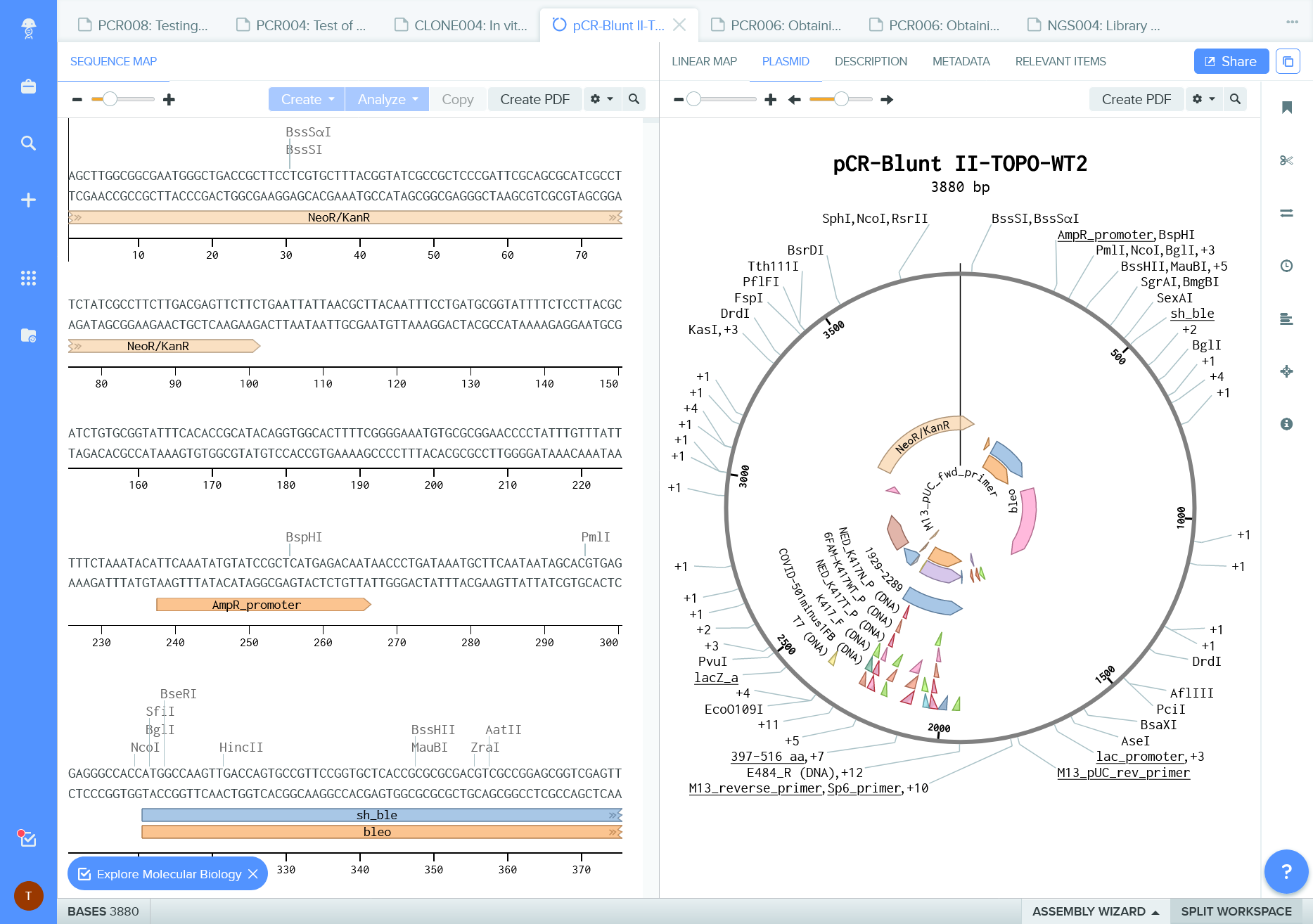 Plasmid map