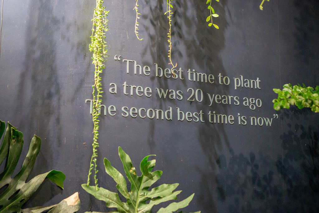 An image of a Chinese proverb "The best time to plant a tree was 20 years ago. The second best time is now