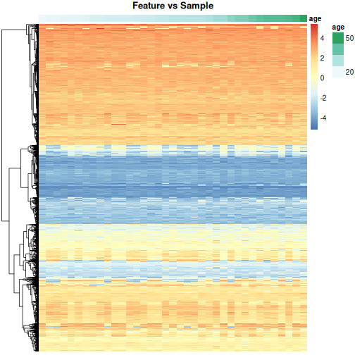 Heatmap of methylation values across all features showing that there are many features. Samples are ordered according to age.