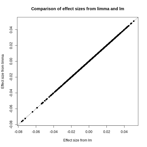 A scatter plot of the effect size using limmma vs. those using lm. The plot also shows a straight line through all points showing that the effect sizes are the same.