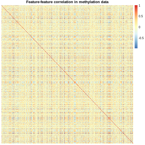 A symmetrical heatmap where rows and columns are features in a DNA methylation dataset. Colour corresponds to correlation, with red being large positive correlations and blue being large negative correlations. There are large blocks of deep red and blue throughout the plot.