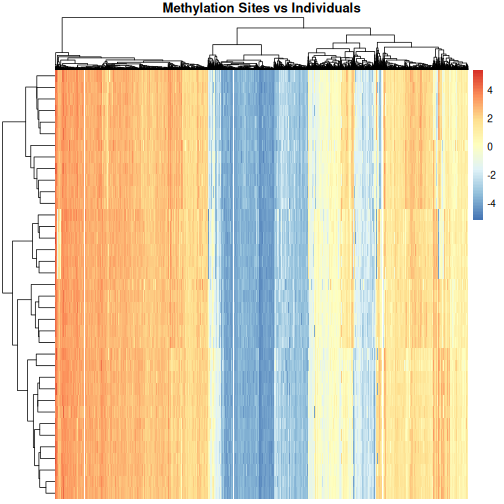 Heatmap of methylation level with individuals along the y axis and methylation sites along the x axis, clustered by methylation sites and individuals. Red colours indicate high methylation levels (up to around 4), blue colours indicate low methylation levels (to around -4) and white indicates methylation levels close to zero. This time, the individuals and methylation sites are clustered and the plot fades from vertical red lines on the left side to vertical blue lines on the right side. There are two, arguably three, white stripes towards the middle of the plot.