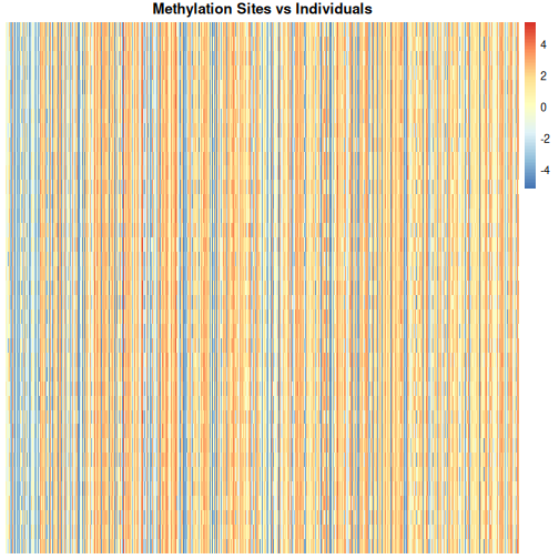 Heatmap of methylation level with individuals along the y axis and methylation sites along the x axis. Red colours indicate high methylation levels (up to around 4), blue colours indicate low methylation levels (to around -4) and white indicates methylation levels close to zero. There are many vertical blue and red stripes.
