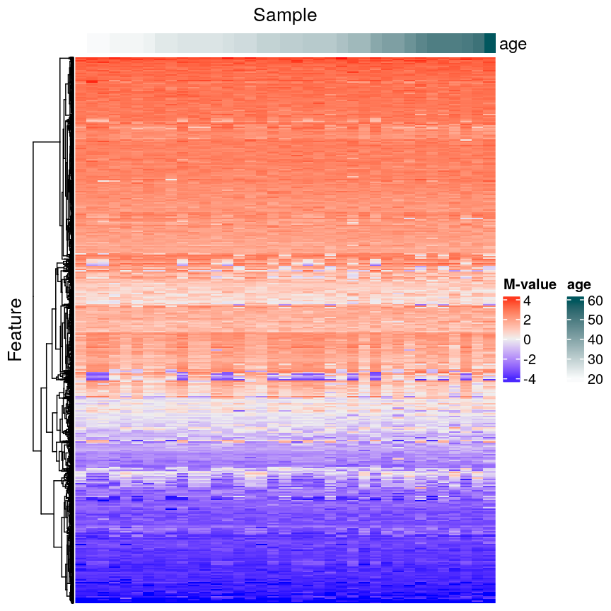 Heatmap of methylation values across all features showing that there are many features. Samples are ordered according to age.