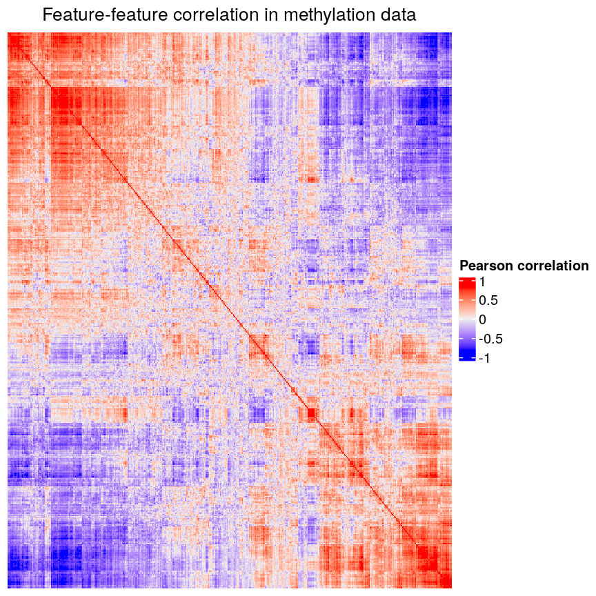 A symmetrical heatmap where rows and columns are features in a DNA methylation dataset. Colour corresponds to correlation, with red being large positive correlations and blue being large negative correlations. There are large blocks of deep red and blue throughout the plot.