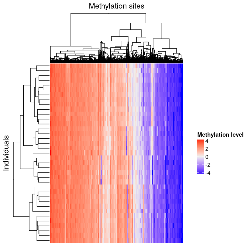 Heatmap of methylation level with individuals along the y axis and methylation sites along the x axis, clustered by methylation sites and individuals. Red colours indicate high methylation levels (up to around 4), blue colours indicate low methylation levels (to around -4) and white indicates methylation levels close to zero. This time, the individuals and methylation sites are clustered and the plot fades from vertical red lines on the left side to vertical blue lines on the right side. There are two, arguably three, white stripes towards the middle of the plot.