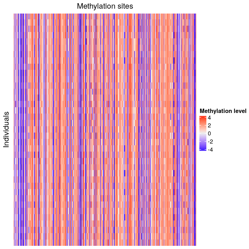 Heatmap of methylation level with individuals along the y axis and methylation sites along the x axis. Red colours indicate high methylation levels (up to around 4), blue colours indicate low methylation levels (to around -4) and white indicates methylation levels close to zero. There are many vertical blue and red stripes.
