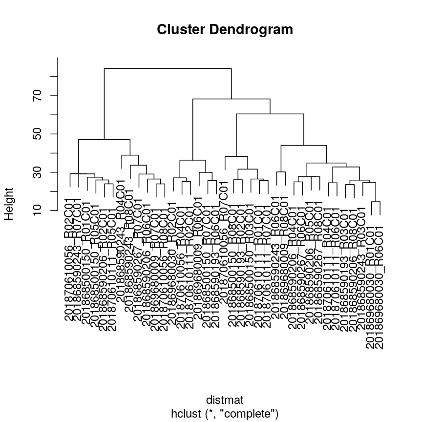 A dendrogram for clustering of methylation data. Identical to that in the section Highlighting dendrogram branches, without the colour overlay to show clusters.