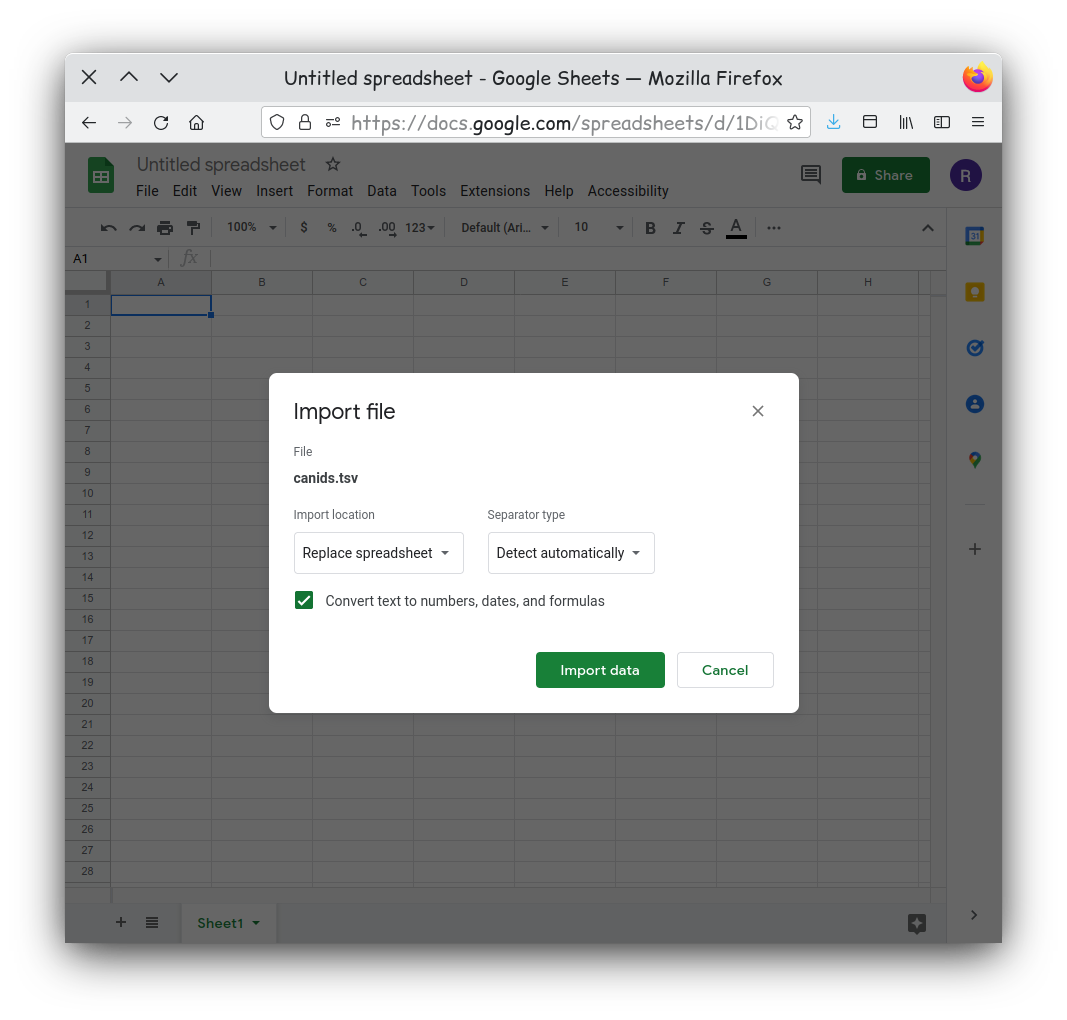 google sheet file type