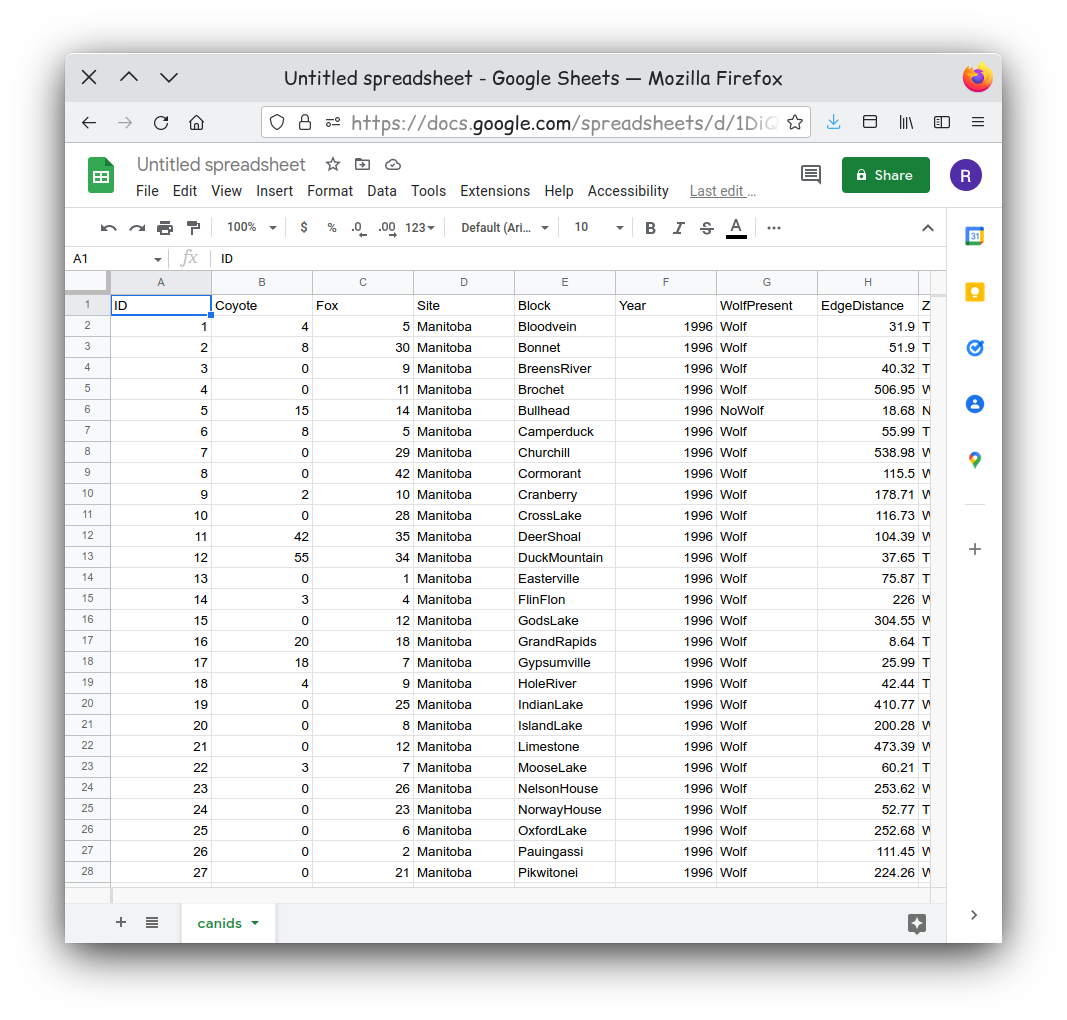 google sheet file type