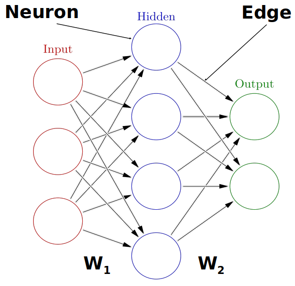 diagram of a neural with four neurons taking multiple inputs and their weights and predicting multiple outputs