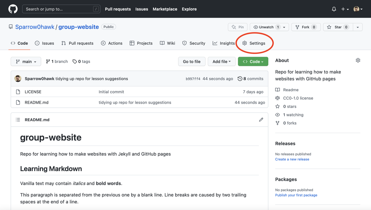 Repository 'Settings' button in GitHub interface