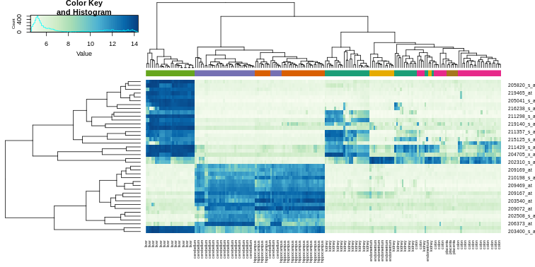 Heatmap created using the 40 most variable genes and the function heatmap.2.