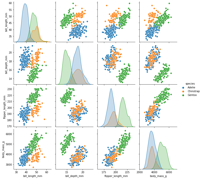 Visualising the penguins dataset