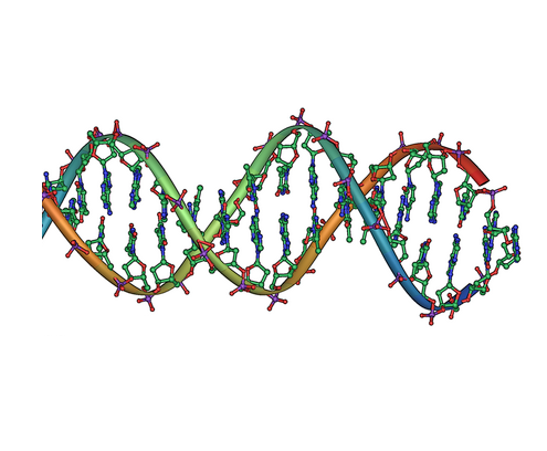 Double helix