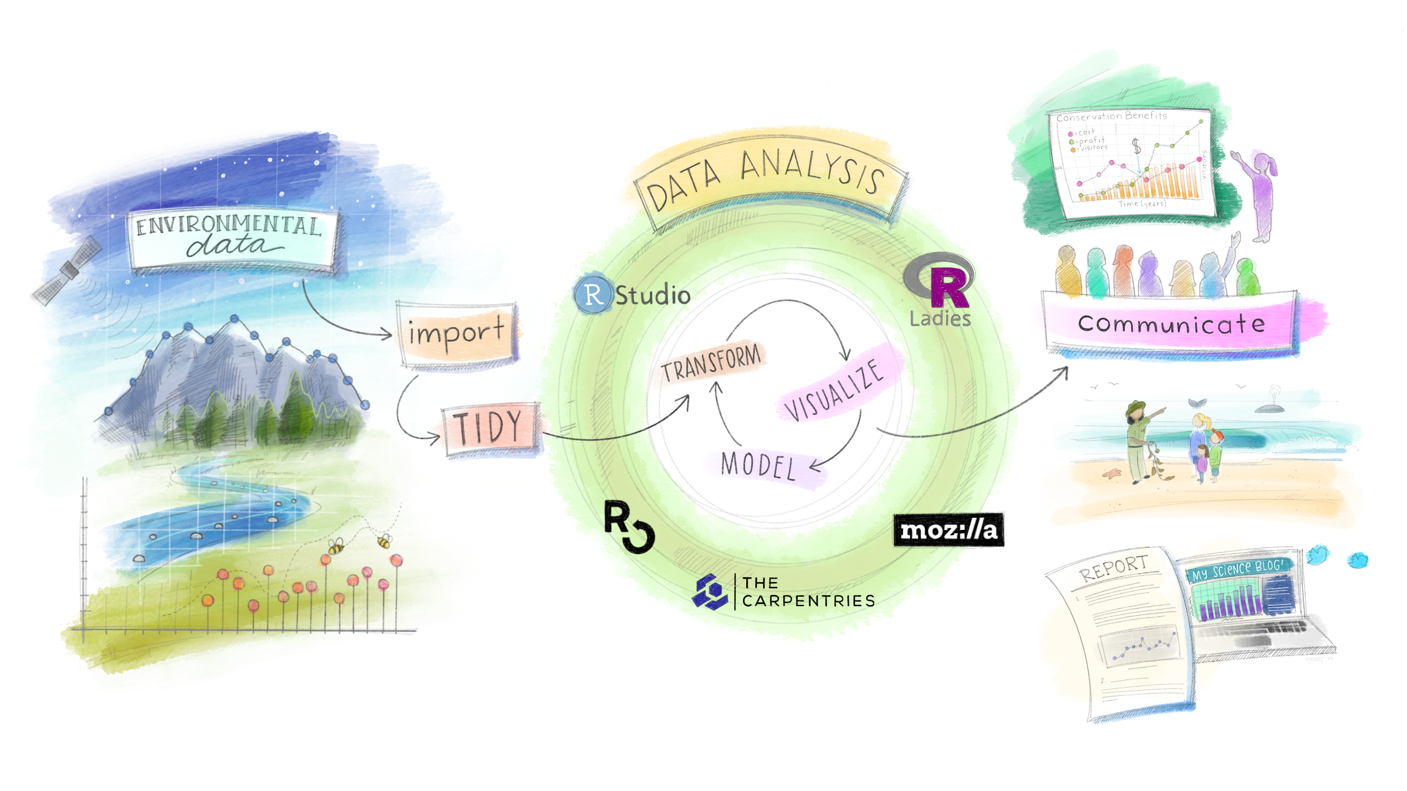 the tidy workflow illustration