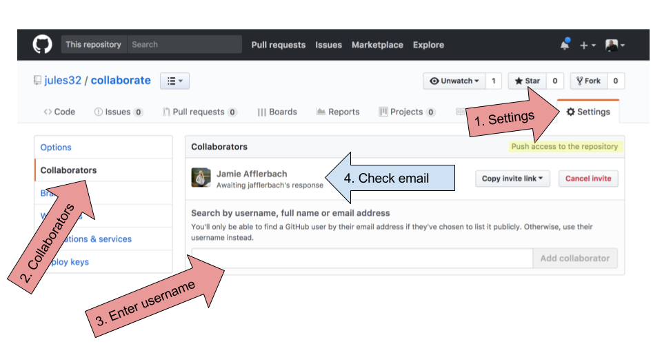 github collaborator