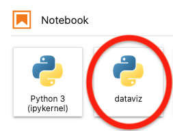 Jupyter Lab - Notebooks - dataviz kernel