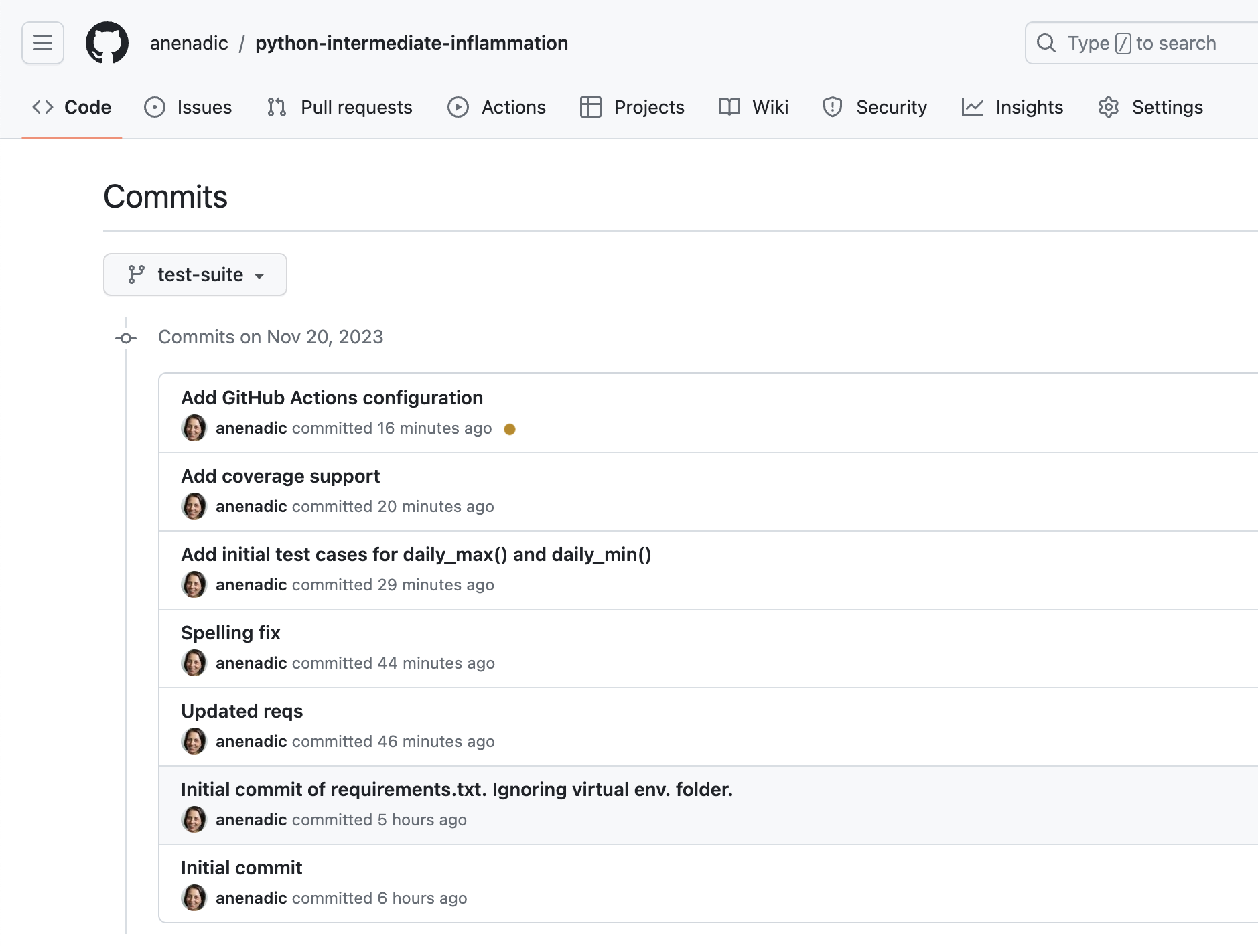 Continuous Integration with GitHub Actions - Initial Build