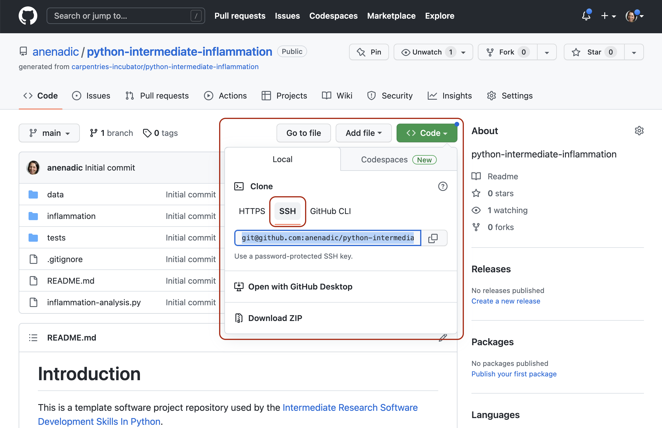 Intermediate Research Software Development