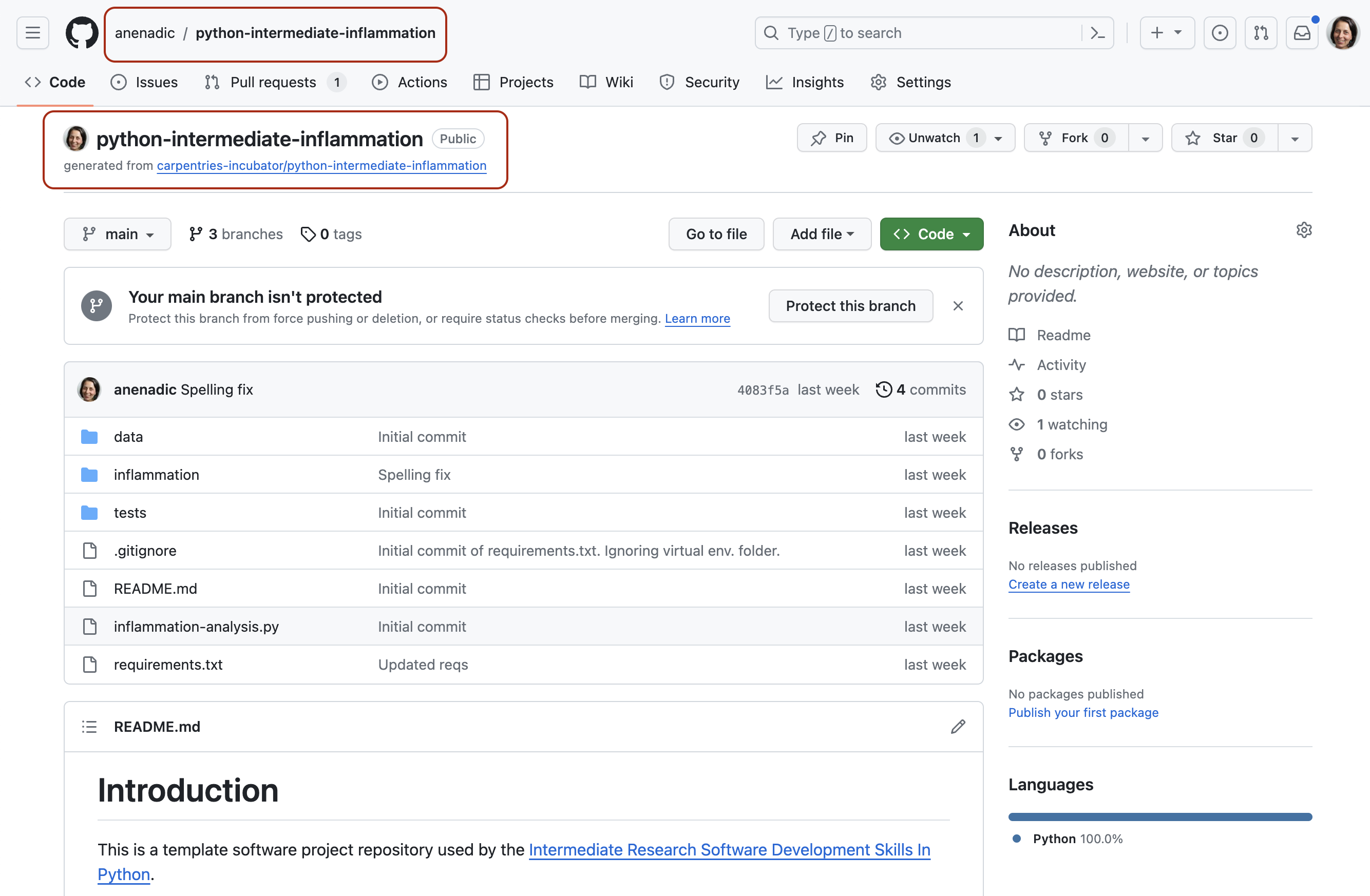 View of your own fork of the software repository in GitHub
