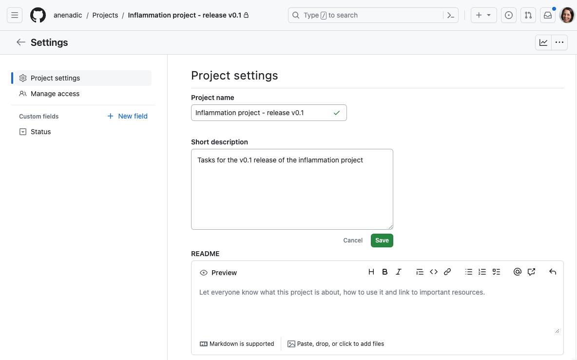 Naming a project in GitHub