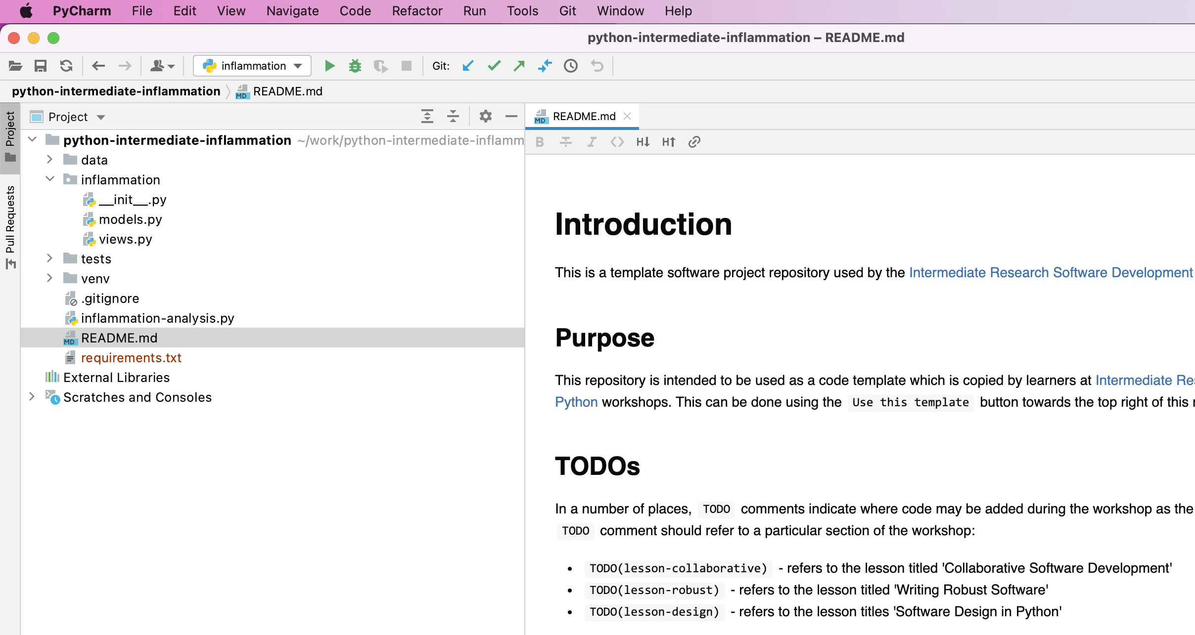 View of an opened project in PyCharm