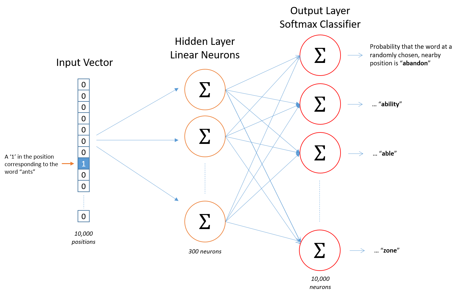 Word2Vec Model Architecture (Skip-gram)