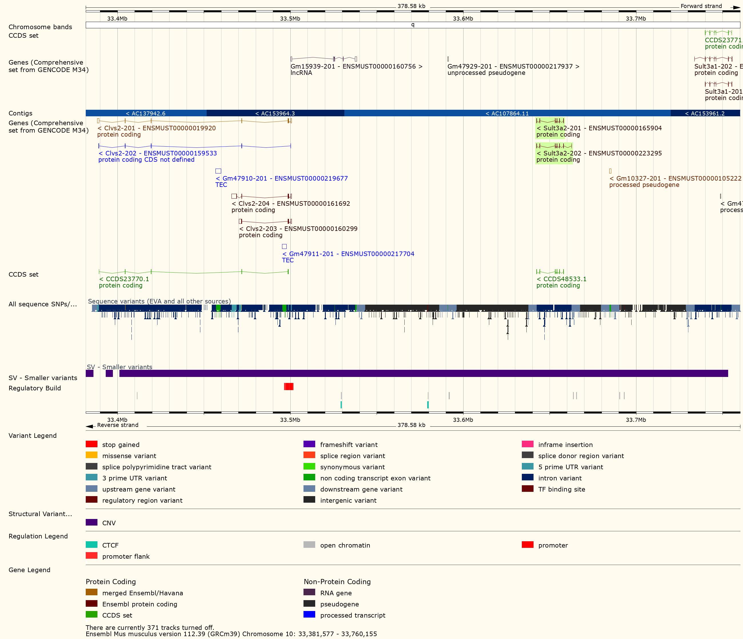 Ensembl viewer showing genes and structural variants under that chromosome 10 QTL peak
