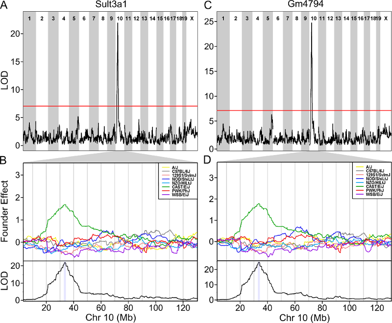 Figure showing LOD plots of Sult3a1 & 2 and CAST-specific haplotype effects