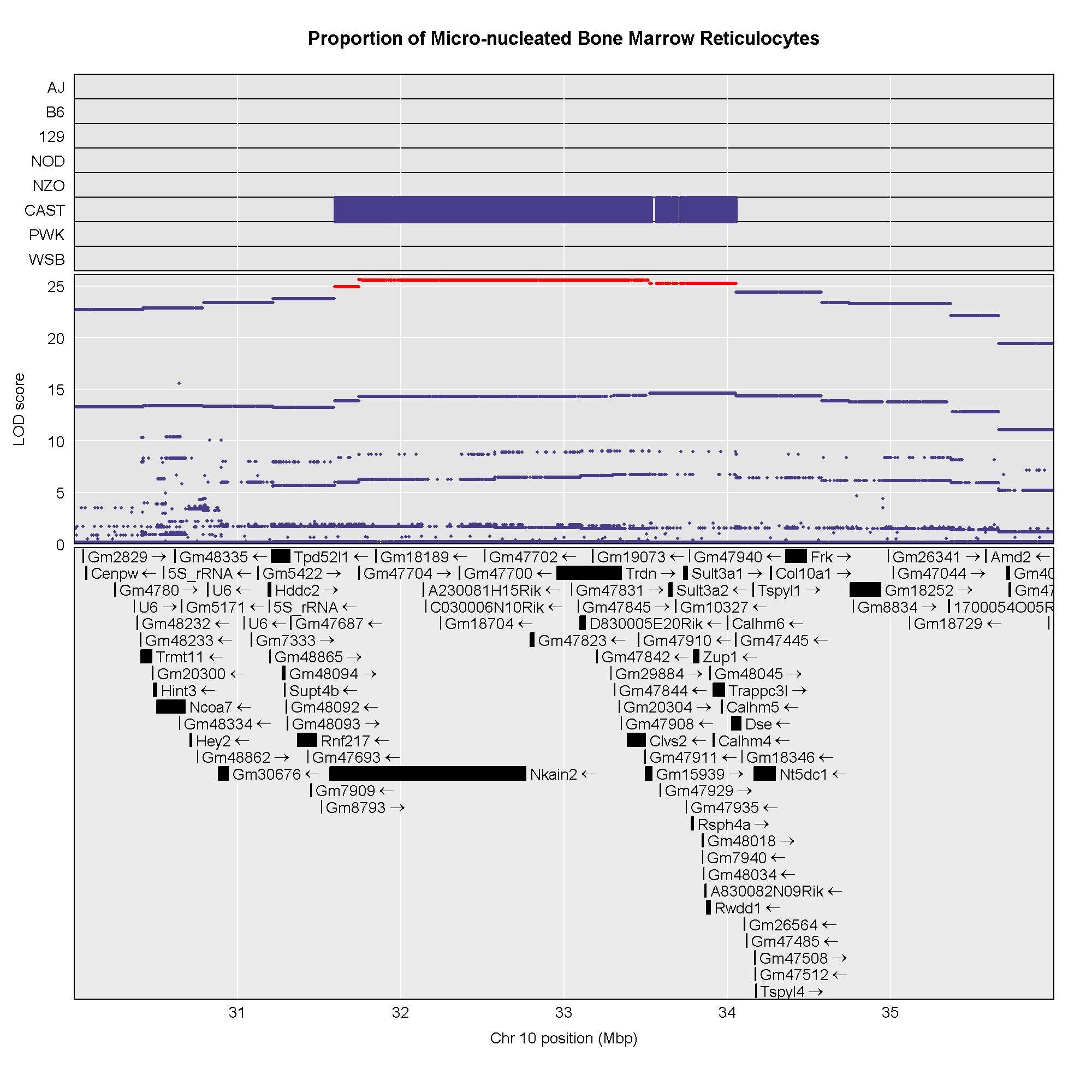 Plot showing LOD of each SNP in QTL interval with genes below and strain distribution pattern above