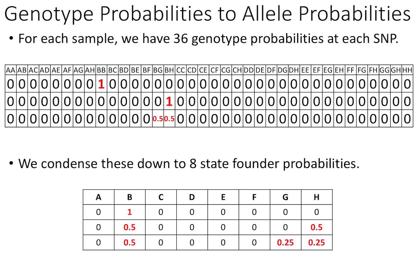 a table showing the probabilities for each of 36 genotypes in the Diversity Outbred followed by a second table showing probabilities for each of the 8 founder alleles