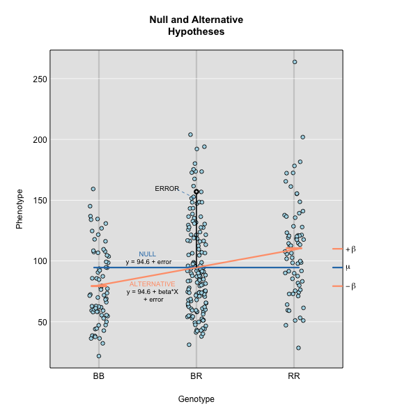 Null and alternative hypotheses