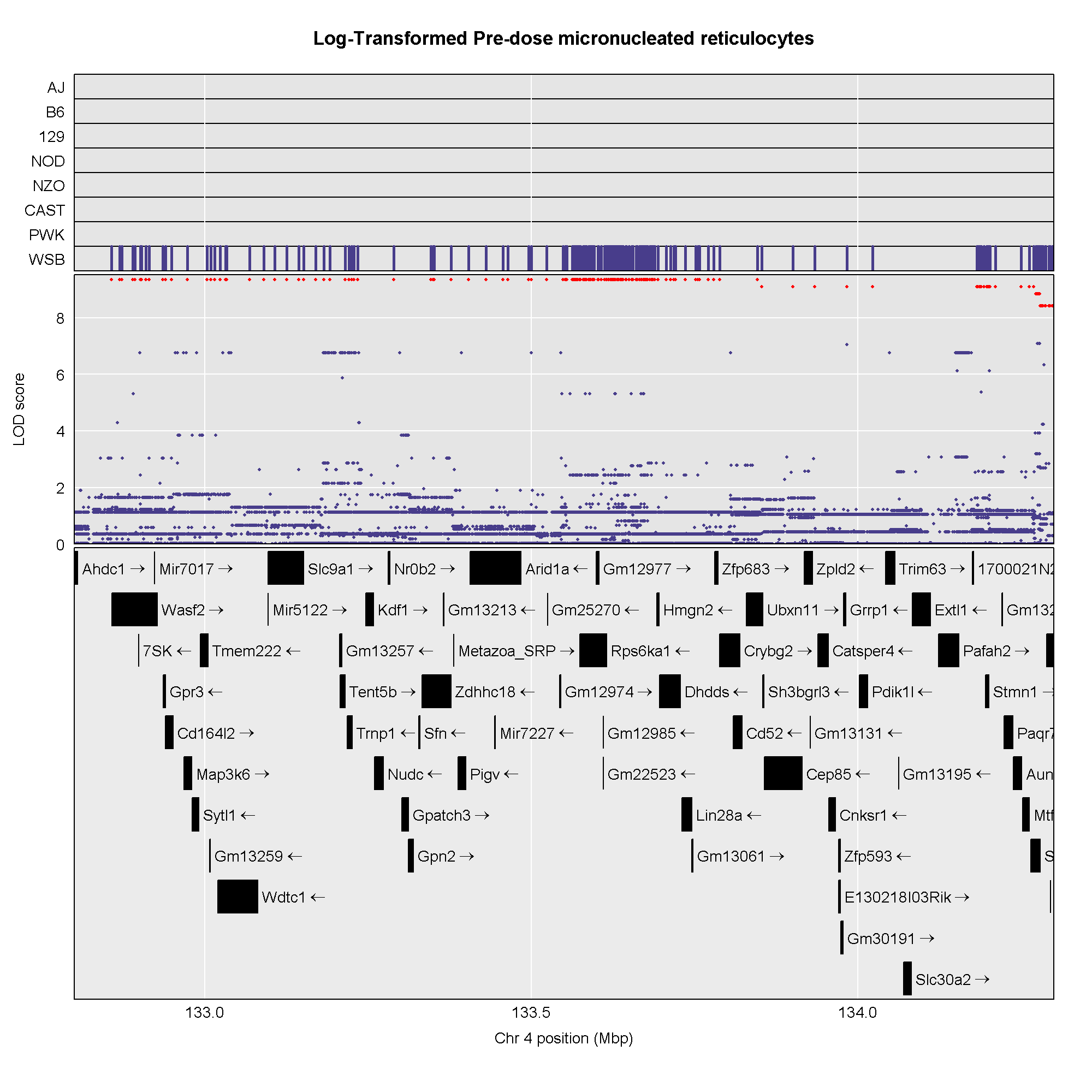 Figure showing pre-dose MN-RET association mapping with WSB carrying the alternate allele