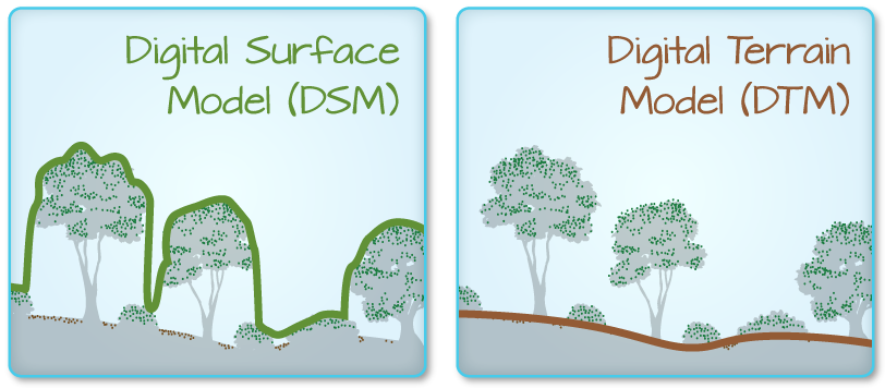 The difference between DSM and DTM. Source: National Ecological Observatory Network (NEON).