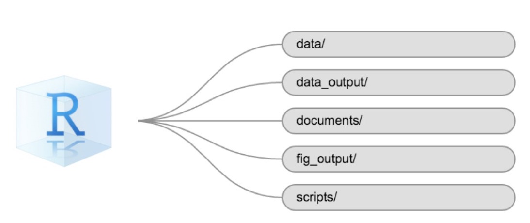 RStudio project logo with five lines, each leading from the logo towards one of the five boxes with texts: 'data/', 'data_output/', 'documents/', 'fig_output/', 'scripts/'