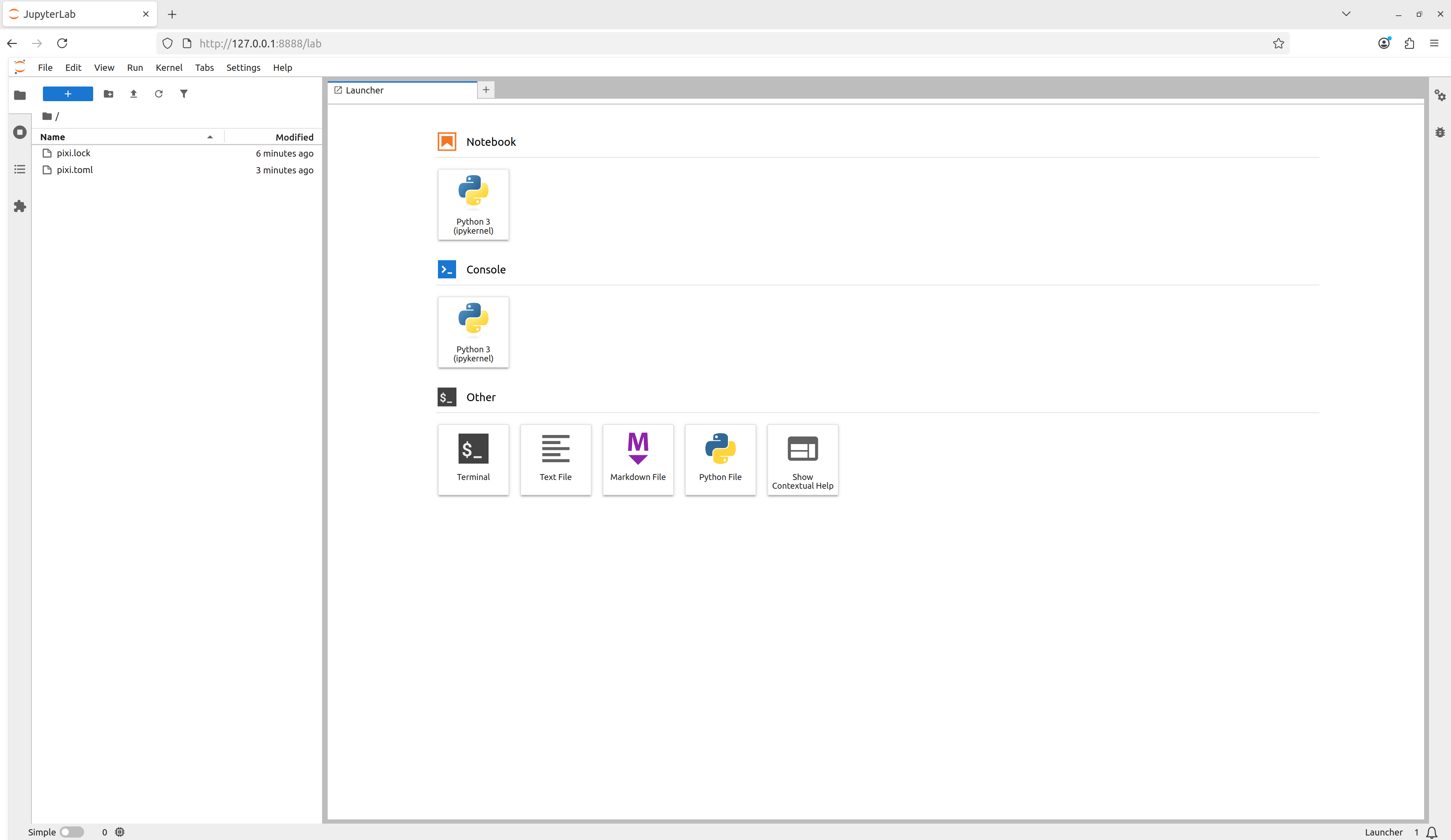 The view of the Jupyter Lab interface in a web browser.