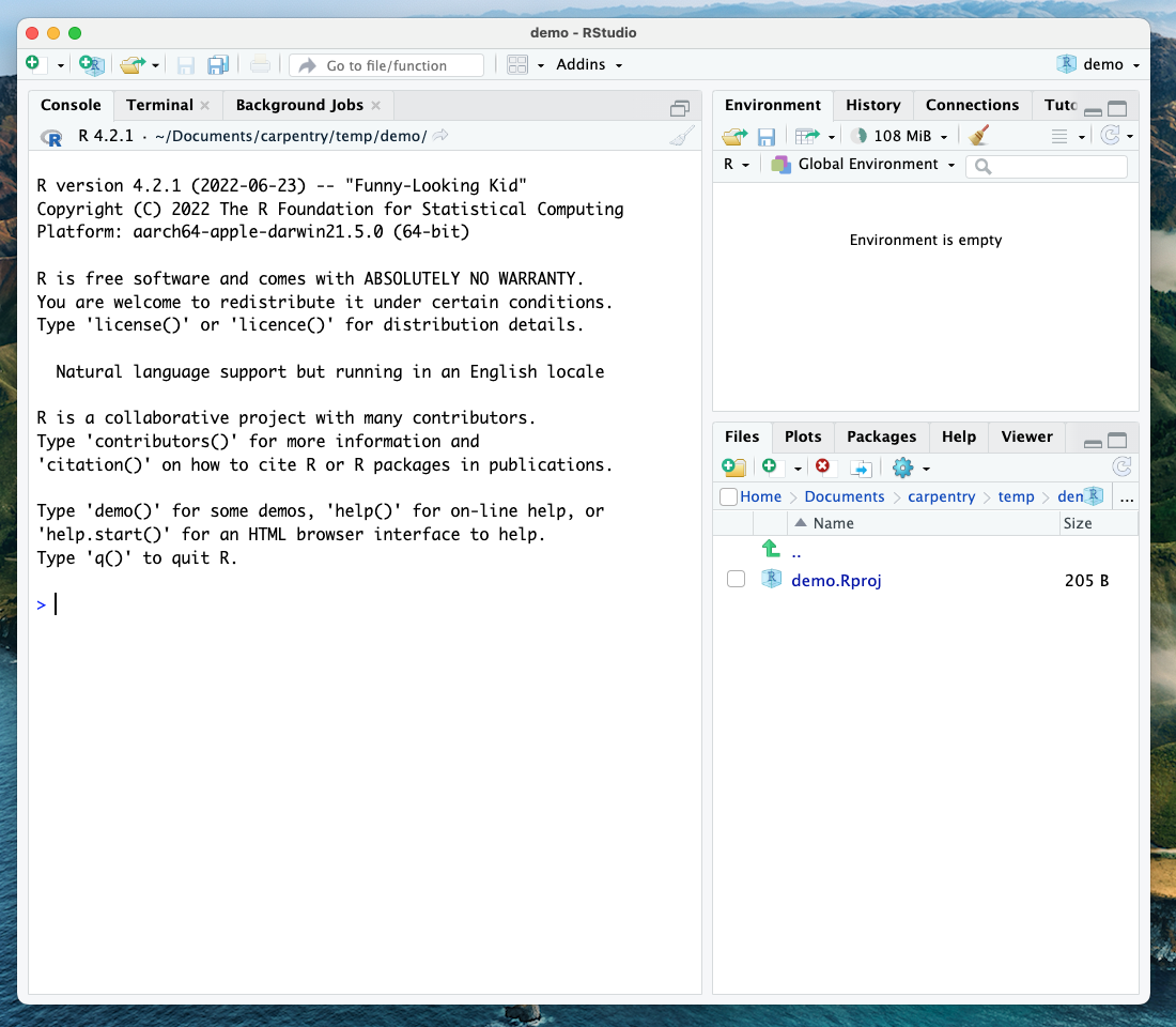 RStudio layout